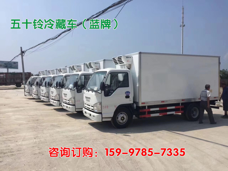 五十铃冷藏车批量 (1)