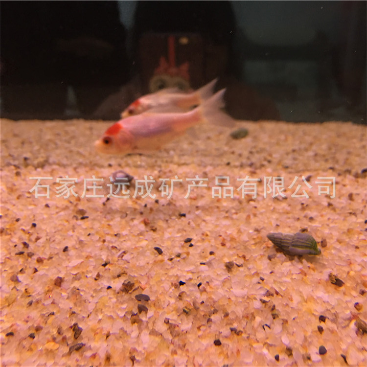 微信图片_20191218115812.jpg