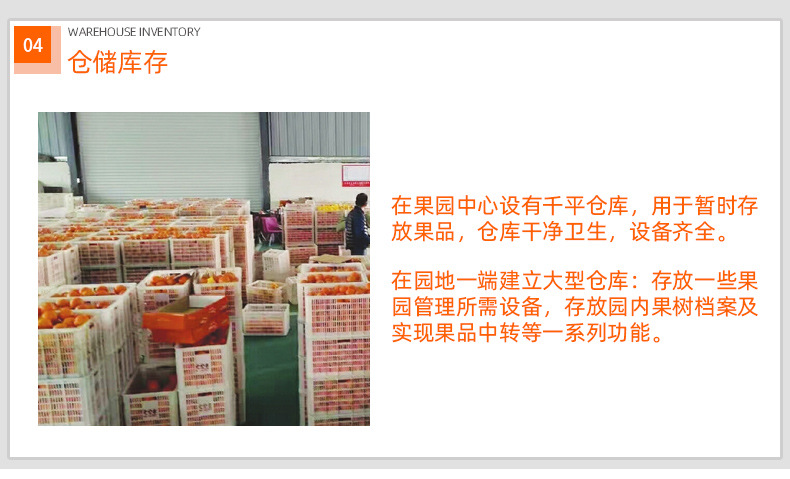 品牌故事2_07.jpg