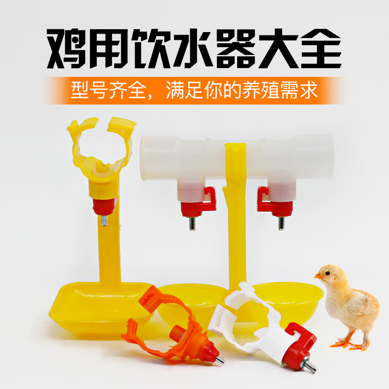 雞用飲水吊杯球閥飲水器 雙乳頭自動飲水器 雞鋼球飲水器小雞飲水