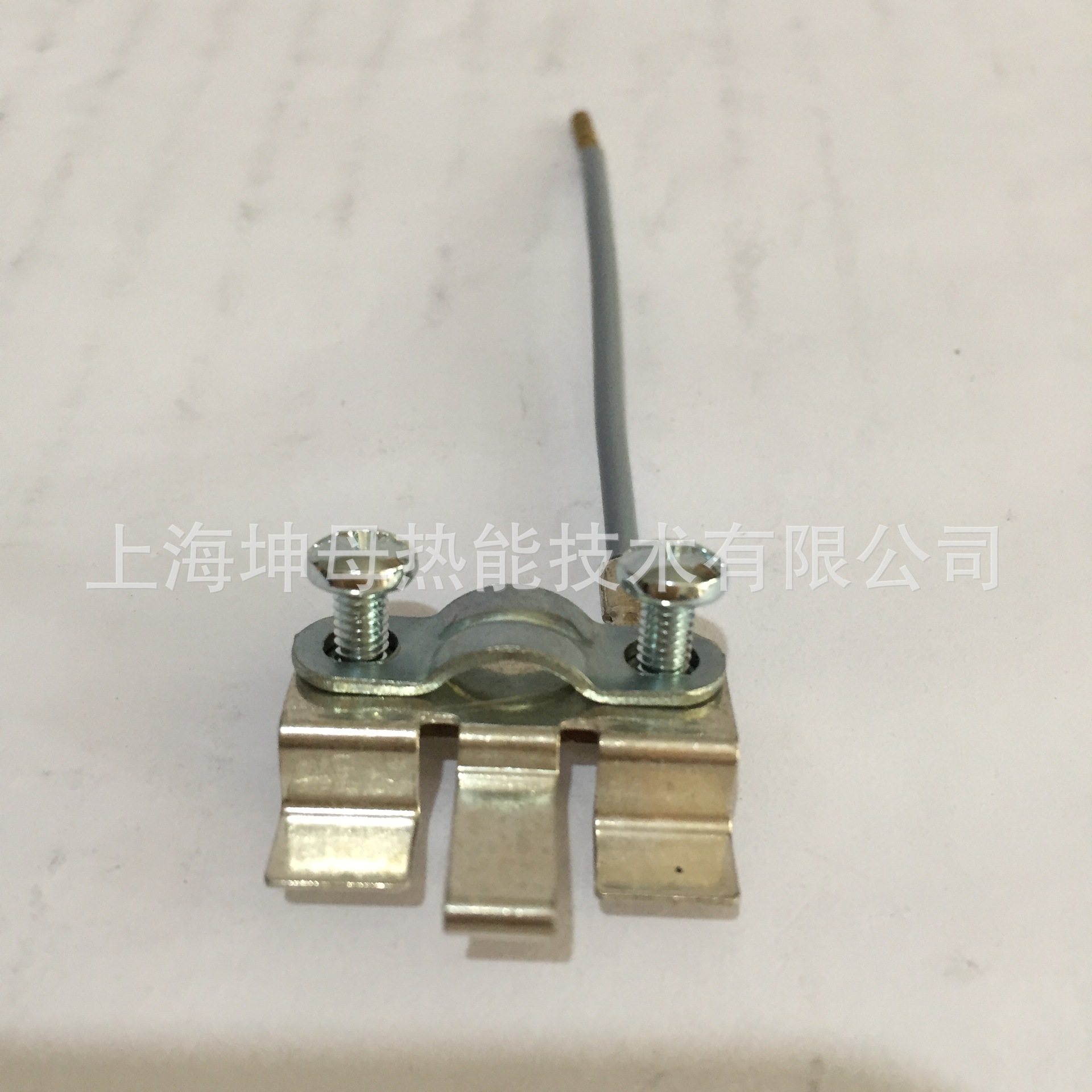 SIEMENS AGG5.110 德国西门子CANbus接线组件