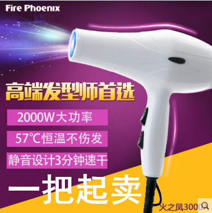 火之凤3000A吹风机发廊专用大功率静音电吹风理发店家用冷热风筒