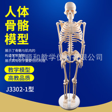 85cm�������ģ��ģ������ģ������������������ϵͳ�ṹ