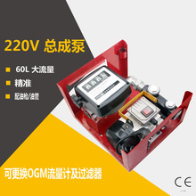 220V總成油泵電動柴油泵計量柴油泵加油機加油工具電動油泵