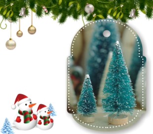 С���}�Q�� �����}�Q������ ����� �zӰ���� �}�Q����[��