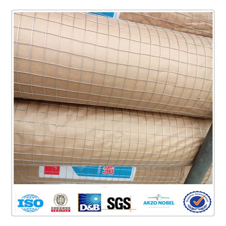 现货供应各种电焊网 建筑工地网片  粉墙、浇水泥镀锌钢丝网