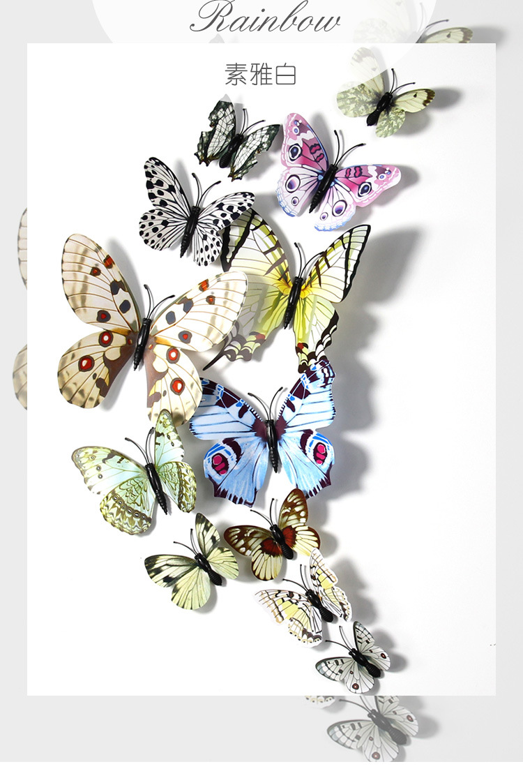 蝴蝶_28.jpg