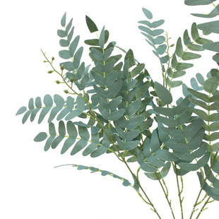 ���滱���~ ���滨�ٻ����컨 ��c�ҾӔzӰ�b� ���W ����ֲ��