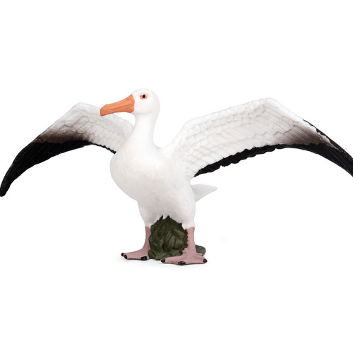 Simulated static wildlife world model, solid bird model, albatross children's plastic toy ornaments