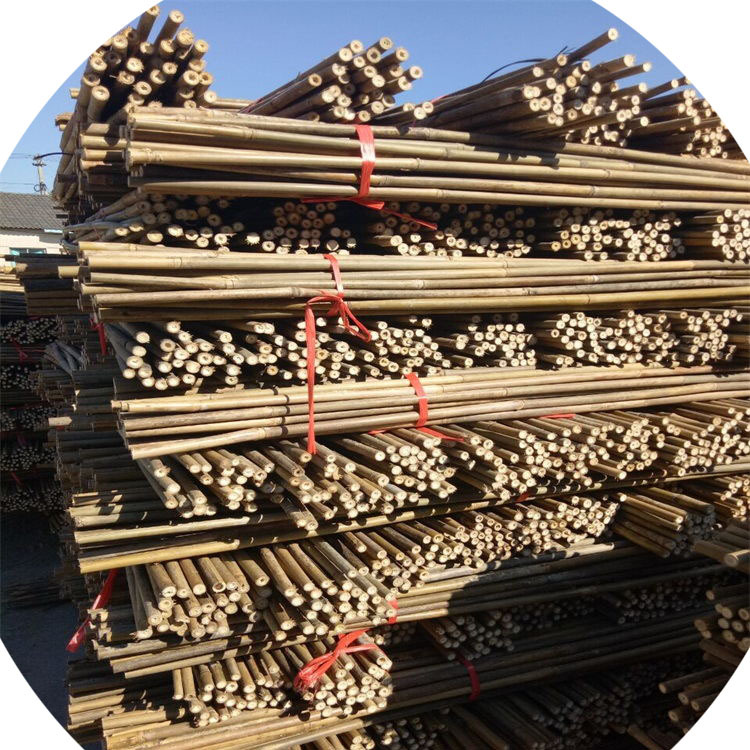 厂家供应出口的厘竹 苦竹 茶竿竹各类竹竿批发定制