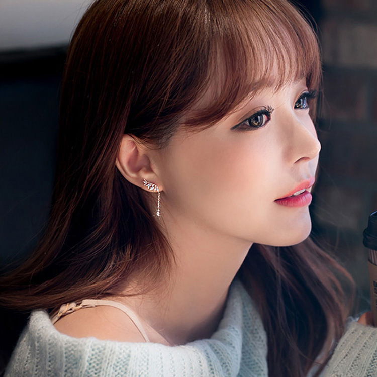 Elegant Silver Earrings