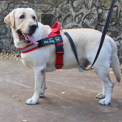 狗狗胸背带中大型犬胸背带金毛拉布拉多萨摩耶狗链宠物用品K9