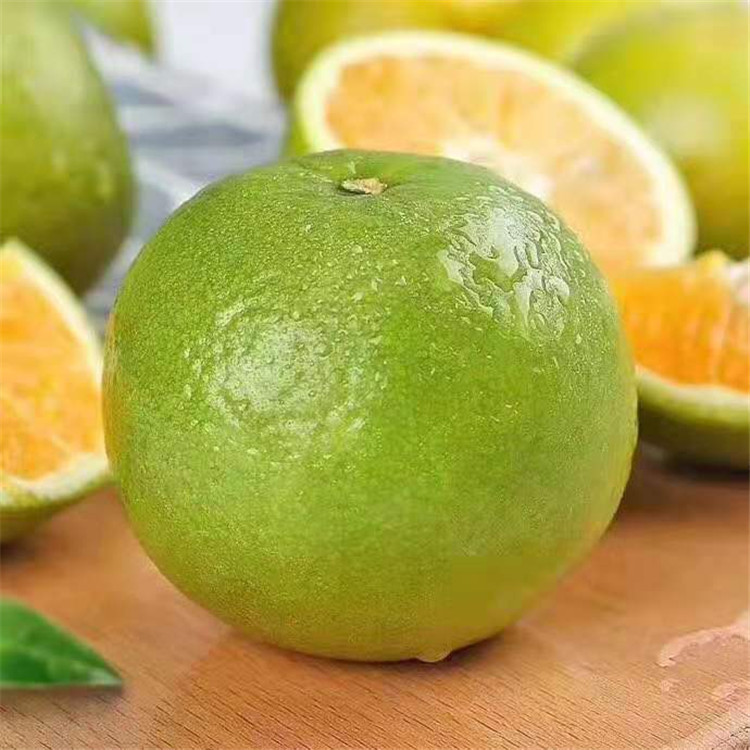 云南冰糖橙子新鲜现季水果孕妇香甜橙10斤带箱 一件代发