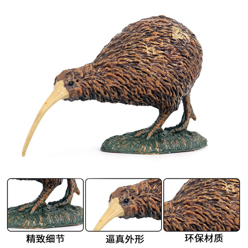 Children's solid bird simulation animal model toy wild plastic animal world bird kiwi bird ornaments