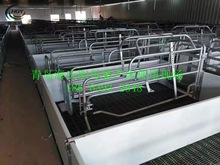 批發豬用養殖設備 1.8*2.4m熱鍍鋅母豬產床 分娩床單體母豬產床