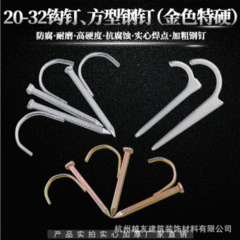 Factory wholesale PPR water pipe hooks, clips, and nails, 4/6 inch PVC steel hooks, wall nails, water pipe fittings