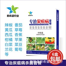 ����̿�Ҳ������� �S���������Ѹ����㽶��ݮ���Ú����ײ� ���]