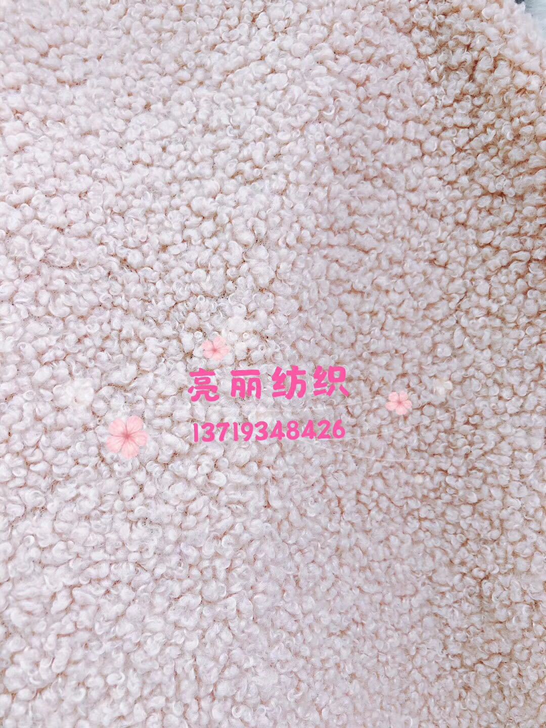 小泰迪4