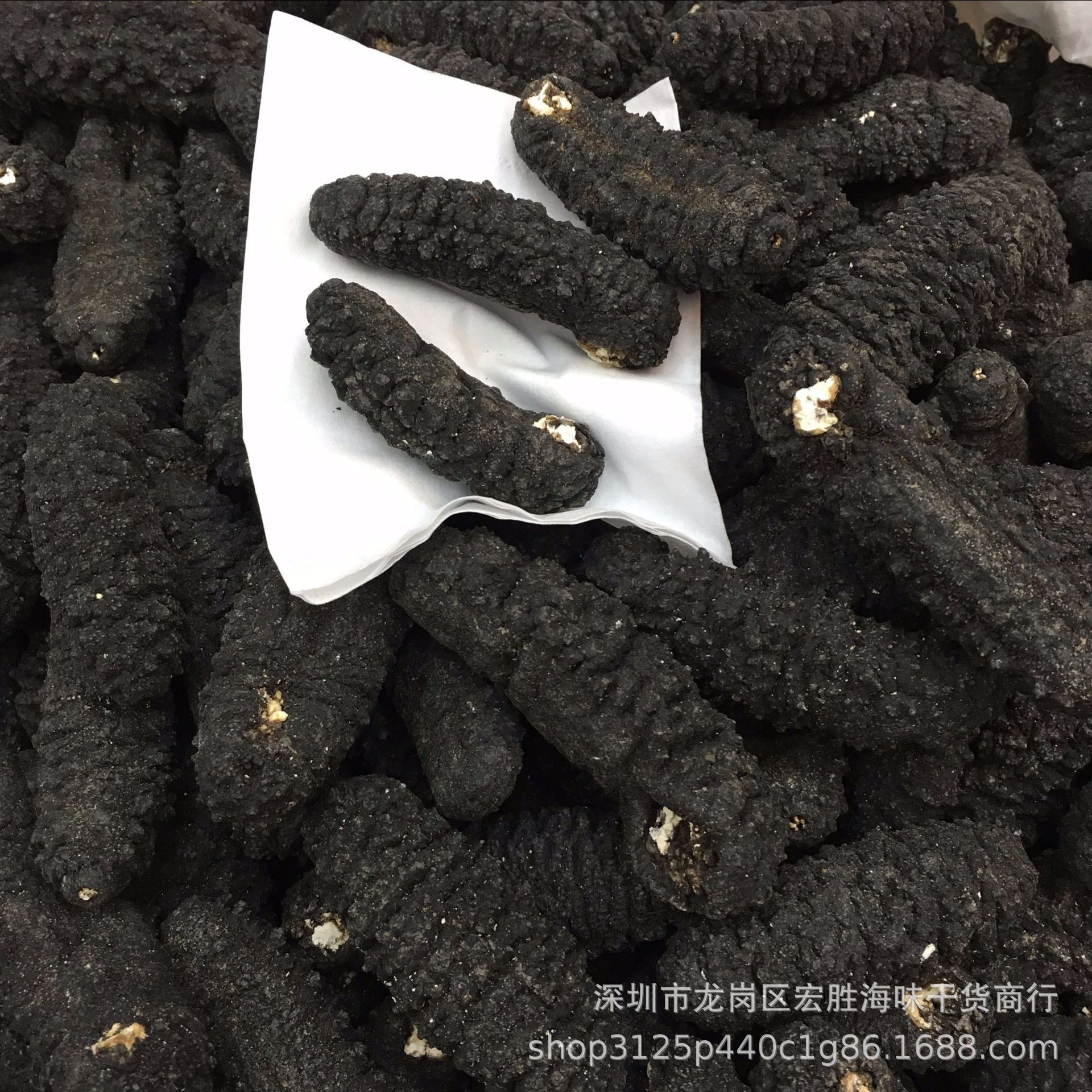 黑刺参,糙海参,辽宁刺参图片(第3页)_大山谷图库
