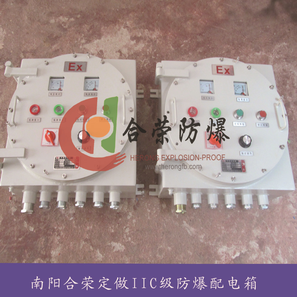 IIC型防爆配电箱 (2)