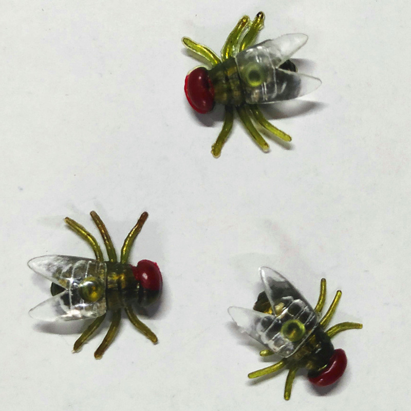 苍蝇