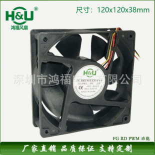 �S�����] 12038���Cɢ���L�� ��׃���Cɢ���L�� ���ٰl؛