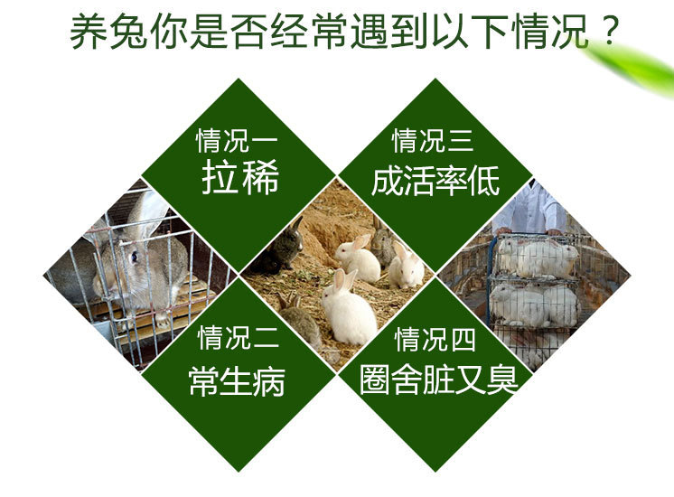 农富康养殖菌液养肉兔专用的益生菌制剂