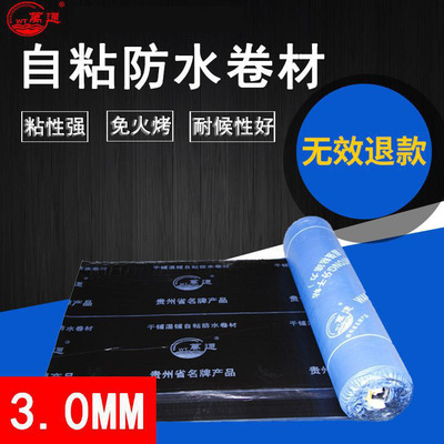屋面防水材料 自粘防水卷材  sbs防水卷材 3mm国标可检测|ms