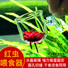 Fish tank living red worm feeder glass red worm Aquarius frozen thread bug earthworm fish grain trough mini eaten red insects