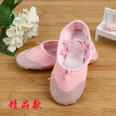 Детская танцевальная обувь Обувь с мягкой подошвой и кошачьими когтями, парусиновые балетки для взрослых, тонкая обувь для йоги, женская танцевальная обувь