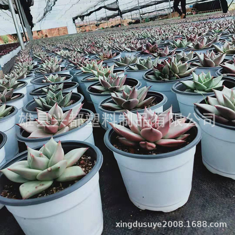 微信图片_201907271736153