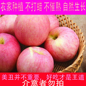苹果脆甜山东烟台农家新鲜水果水晶红富士带箱10斤装一件代发包邮