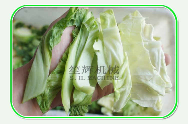 爆款 学校食堂菜类切菜机大包菜整切机 定做