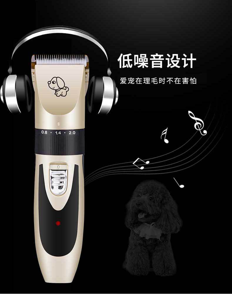 C8新款1_05