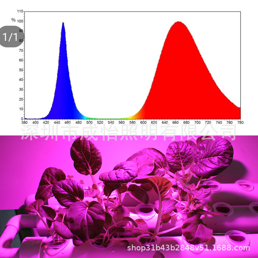 亞馬遜爆款 全光譜植物生長燈 定時(shí)可調(diào)光家用綠植花卉夾子植物燈