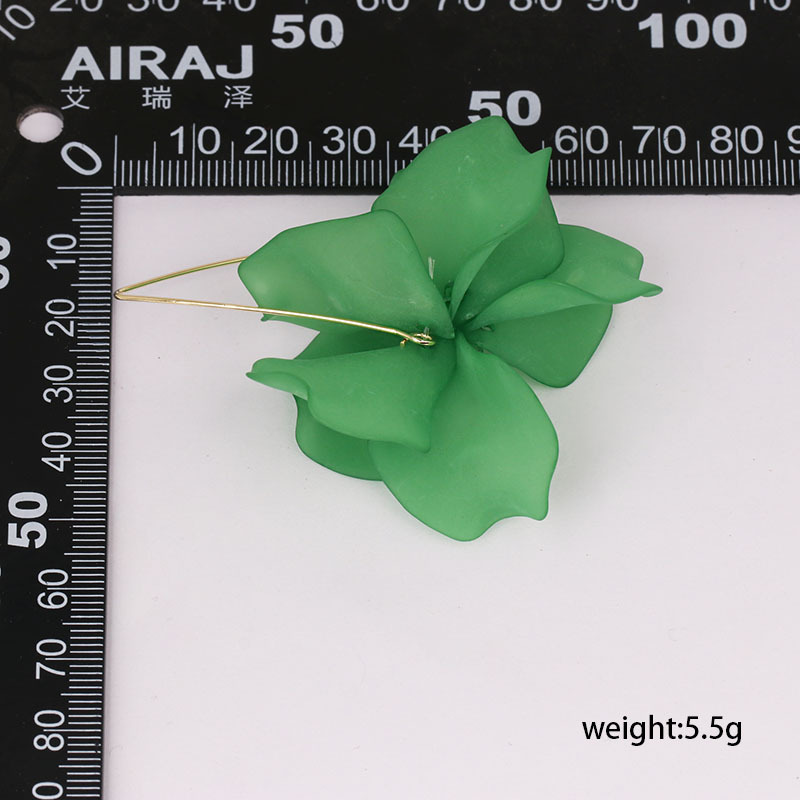 13g Weight Fashion Flower Plastic Women's Earrings 1 Pair