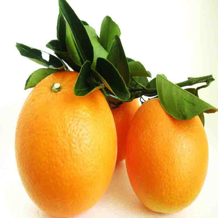 正宗奉節紐荷爾非贛南臍橙10斤小果帶箱包郵新鮮水果現采代理代發