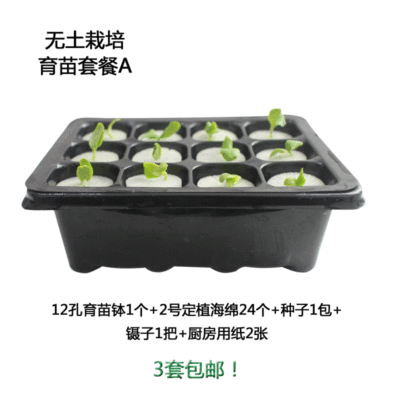 幸运买家水培叶菜果蔬花卉可用工具齐全3套园艺无土栽培育苗套餐A|ru