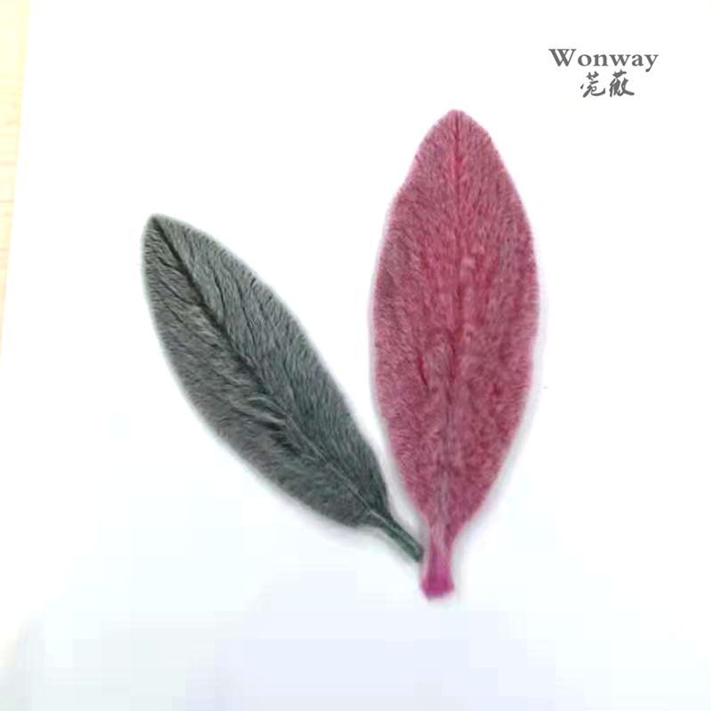 微信图片_20190310143953