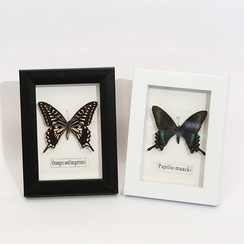 Hot-selling American Decorative Painting, Living Room Sofa Study Hanging Painting, Butterfly Specimen Framed Decorative Painting, Batch Hot-selling American Decorative Painting, Living Room Sofa Study Hanging Painting, Butterfly Specimen Framed Decorative Painting, Batch