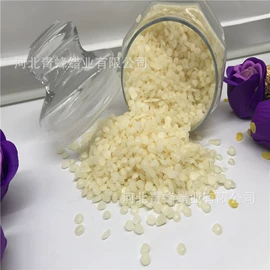 石油蜡;其他天然树脂