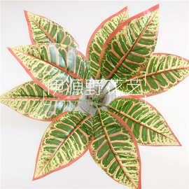 仿真树叶洒金榕植物墙配材变色木绿植厂家批发大叶子批发