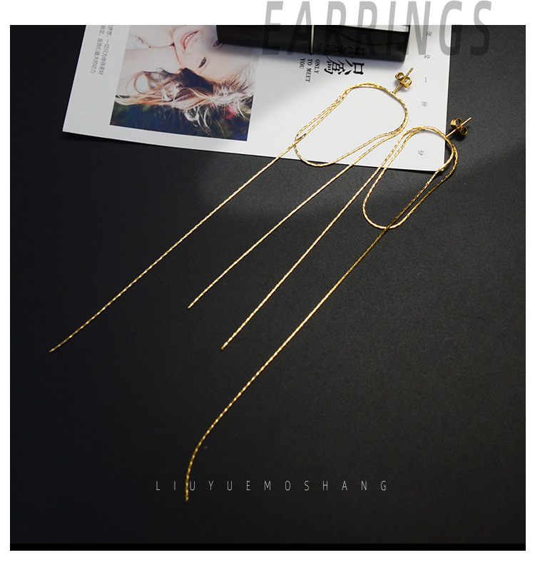 2021 Nouveau Japonais Et Coréen Simple Capricieux Minoritaire Conception Flash Vertical Chaîne Pendante Boucles D'oreilles Titane Acier 18k Or Boucles D'oreilles F238 display picture 15