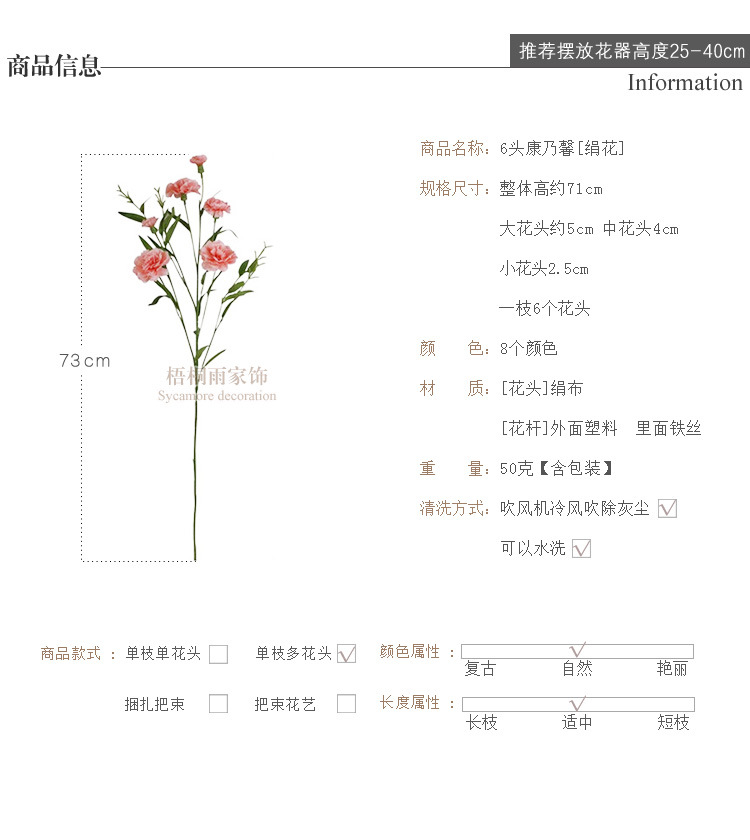 康乃馨.jpg