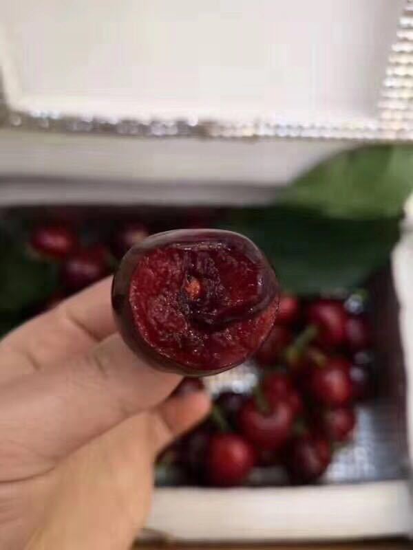 微信图片_201903211115566