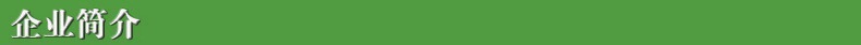 企业简介.jpg