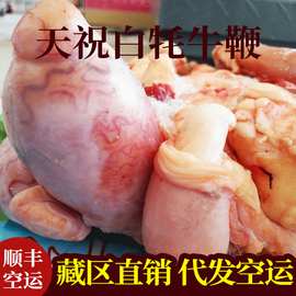 清真新鲜冷冻餐饮食品牦牛鞭 男用泡酒料养生药酒料带蛋牦牛鞭