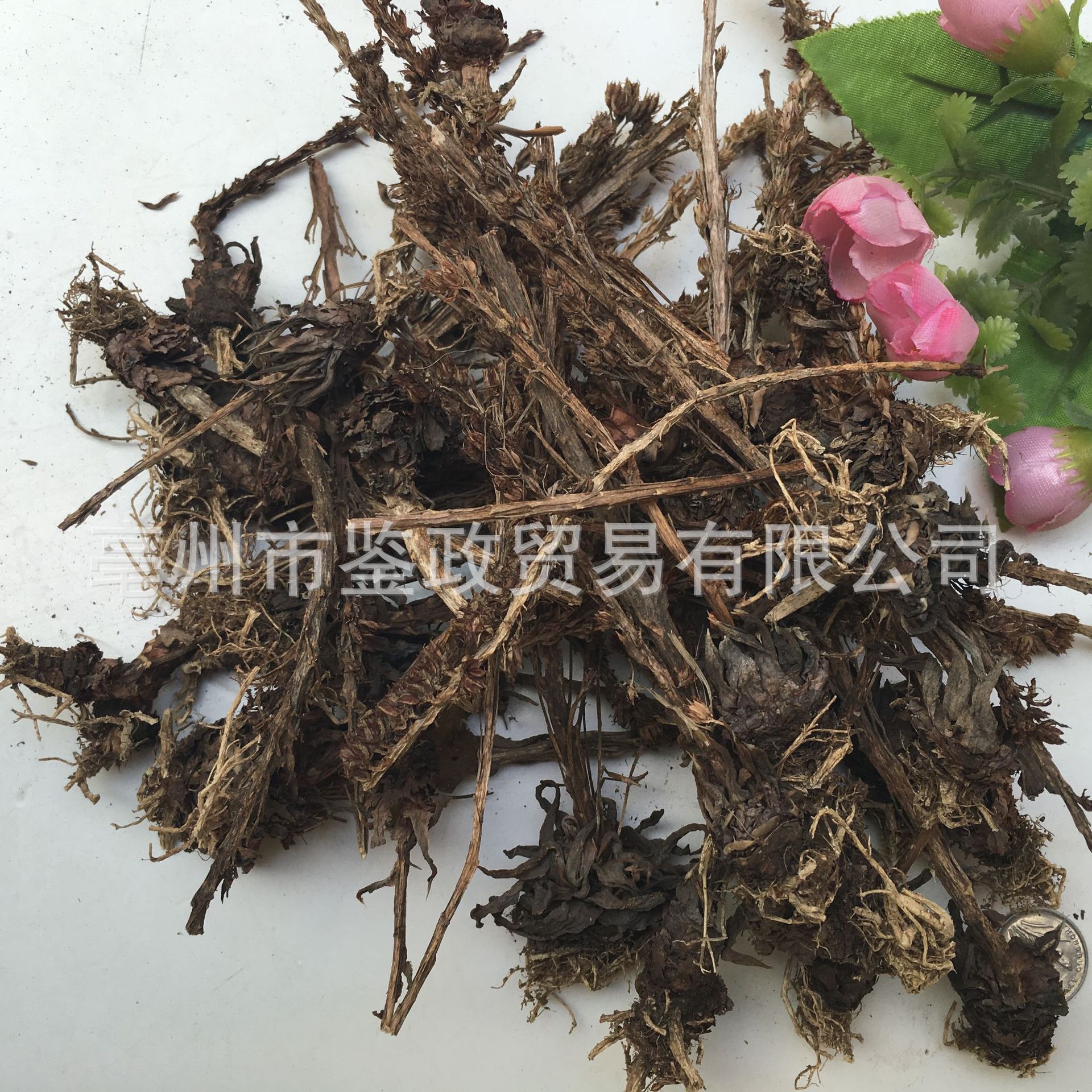 Dried Orostachys Herb Wasong 瓦松 Whole Plant 500g Bag Traditional Chinese Herbal Botanical quality and texture