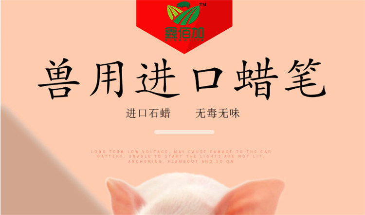 蜡笔CA详情页 (1).jpg