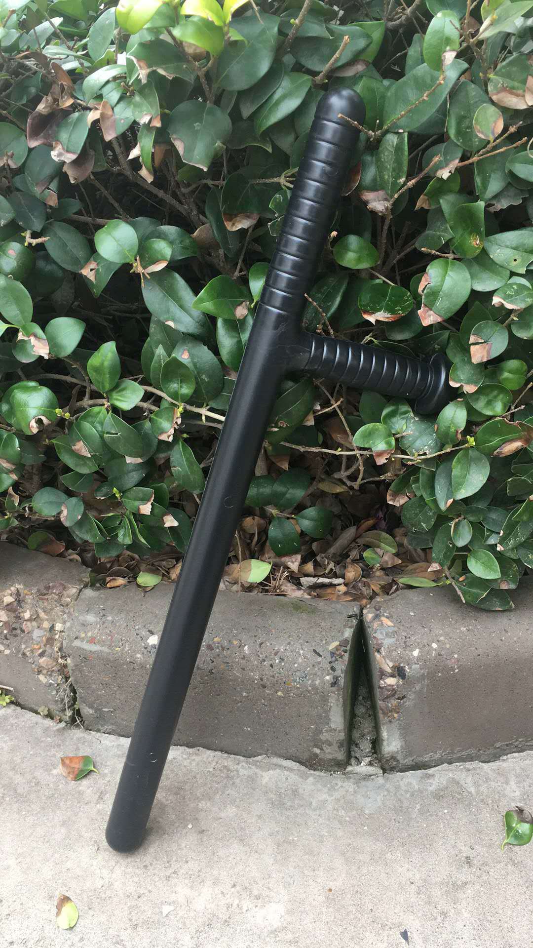 微信图片_20190317145525